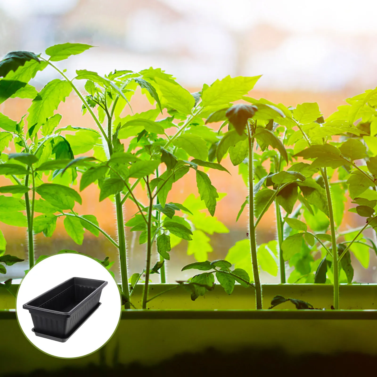 4Pcs Plastic Growing Boxes Professional Gardening Pots Drainage Holes for Vegetables Flowers Succulent Plants Garden Supply