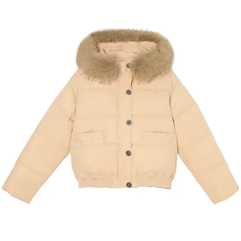 Parkas Jacket Women Korean New Autumn Winter Loose Fur Hooded Thicken Warm Down Cotton Padded Short Coat Female Casual Lady Tops