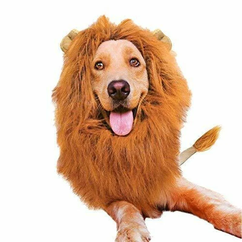 Pet Dog Cosplay Clothes Transfiguration Costume Lion Mane Winter Warm Pet Wig For Large Dog Holiday Party Handsome Set Products