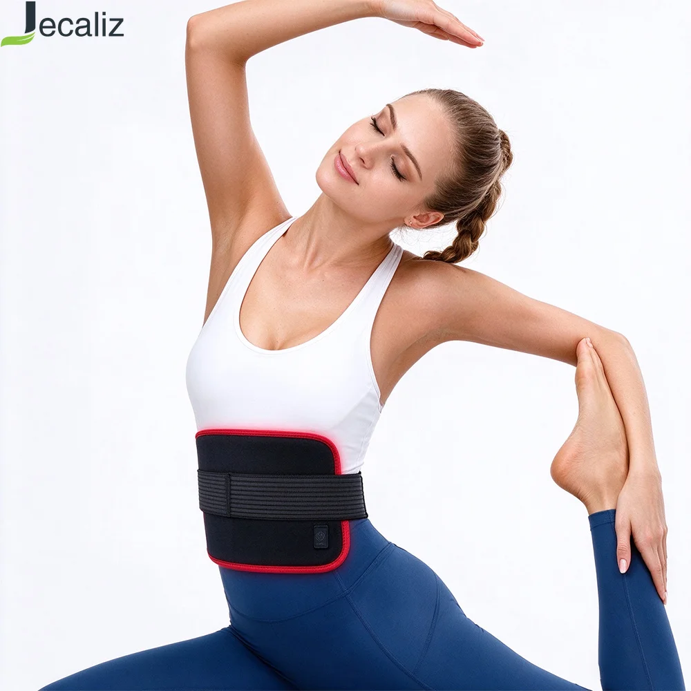Led Red Light and Near Infrared Light Devices for Body Waist Shoulder Joint Pain Skin Health for Dog Cat Pets 660nm and 850nm