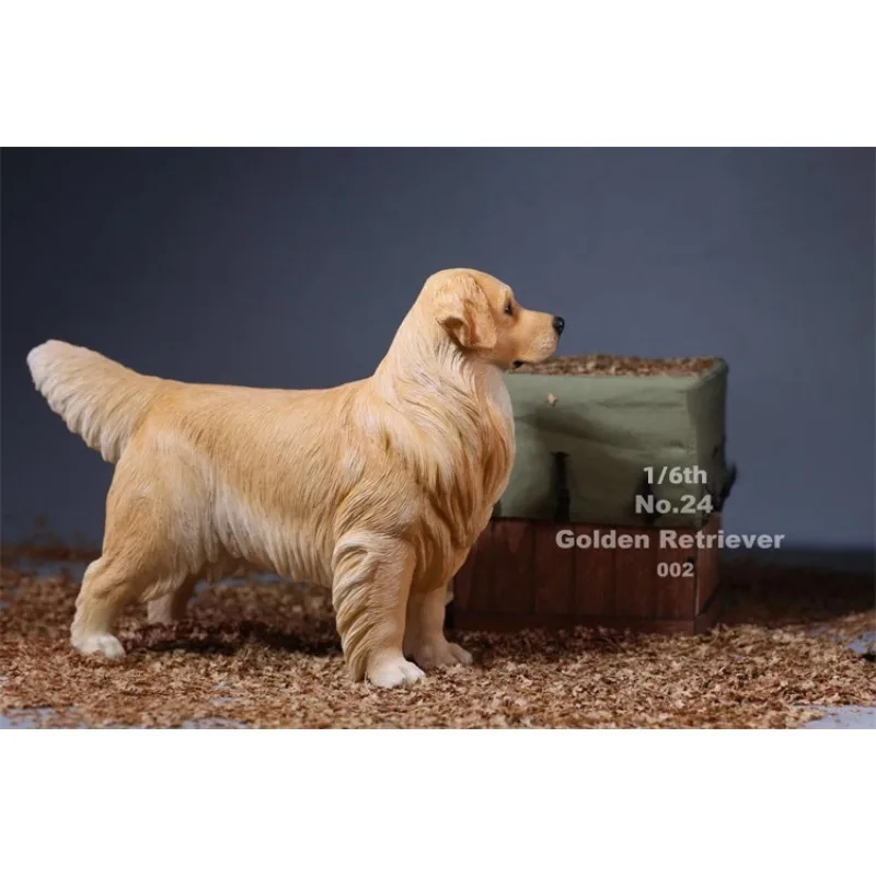 JXK – modèle Golden Retriever en résine, échelle 1/6, Simulation de périphérie pour animaux de compagnie, jouet à collectionner adapté aux figurines d'action de 12 pouces, poupée corporelle