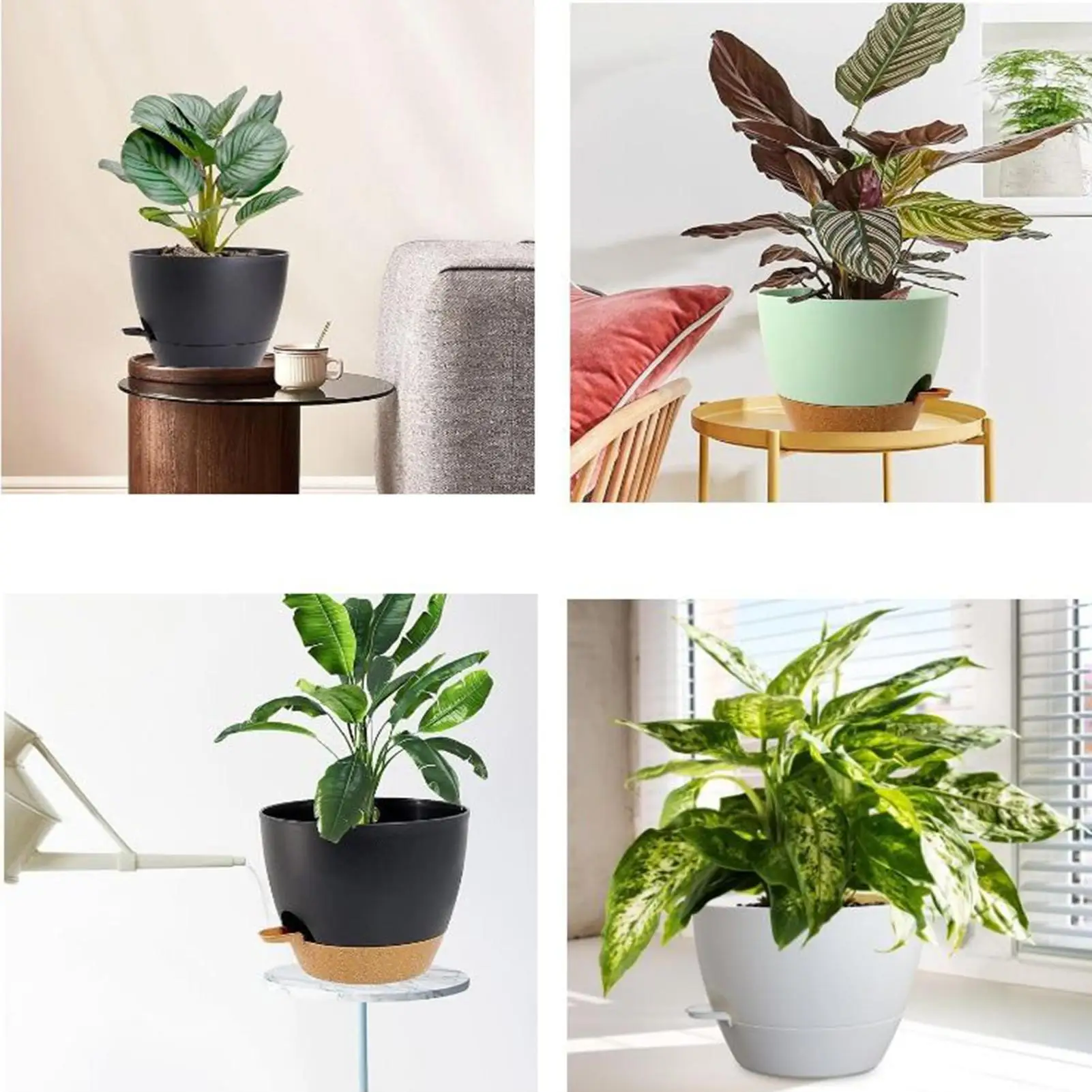 

Self Watering Plant Pots 5 Pieces Gardening Supplies With Saucers Self Watering Planter Pots For Outdoor Garden Balcony Yard