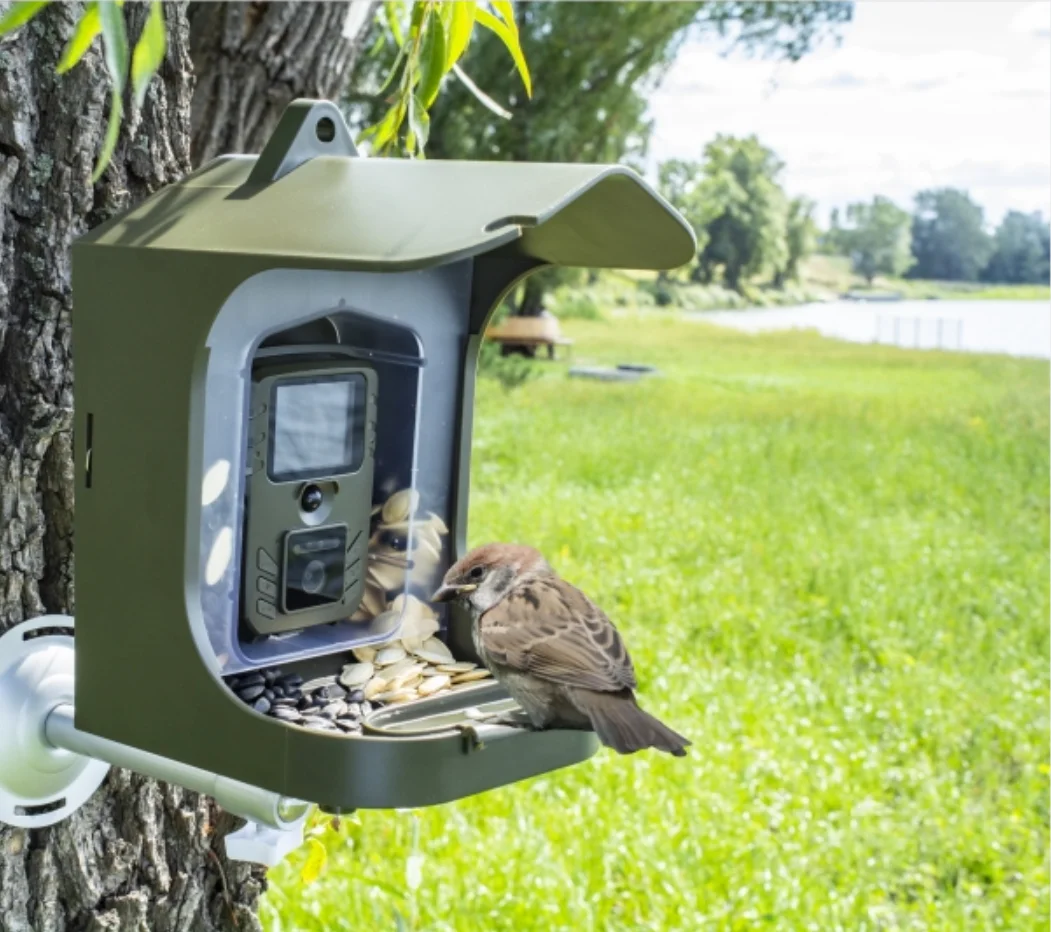 Infrared Night Vision Bird Small Animal Watching Camera Trail Camera BC-303 Birds Feeding 24MP 1080P 30