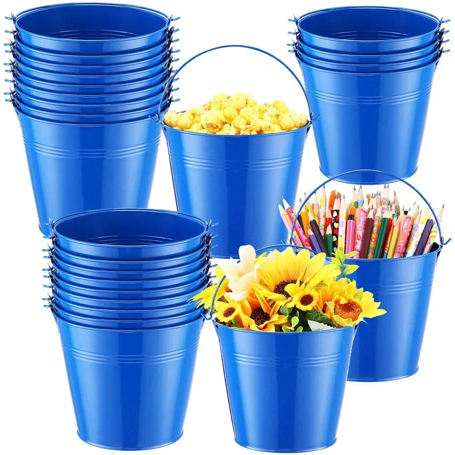 

24 Pcs Small Metal Buckets with Handle Mini Buckets Bulk for Easter Party Favors Classroom Pencil Holder Flower Pot Plant Basket