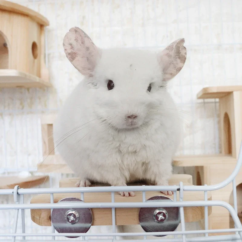 Natural Fragrant Fir Handmade Chinchilla Wooden House Squirrel Cage Springboard Pedal Rabbit Totoro Small Animal House