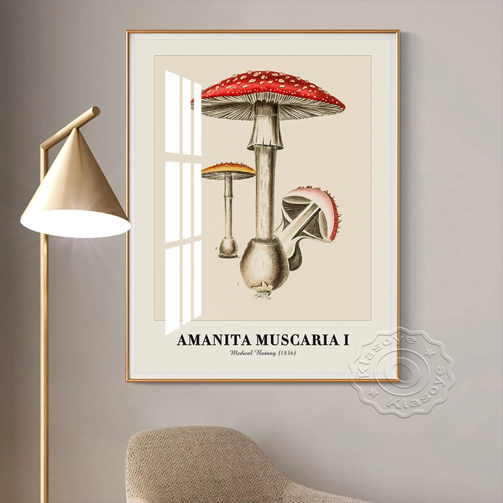 Medical Botany Vintage Illustration Art Print Poster Amanita Muscaria Canvas Painting Decor Wall Picture