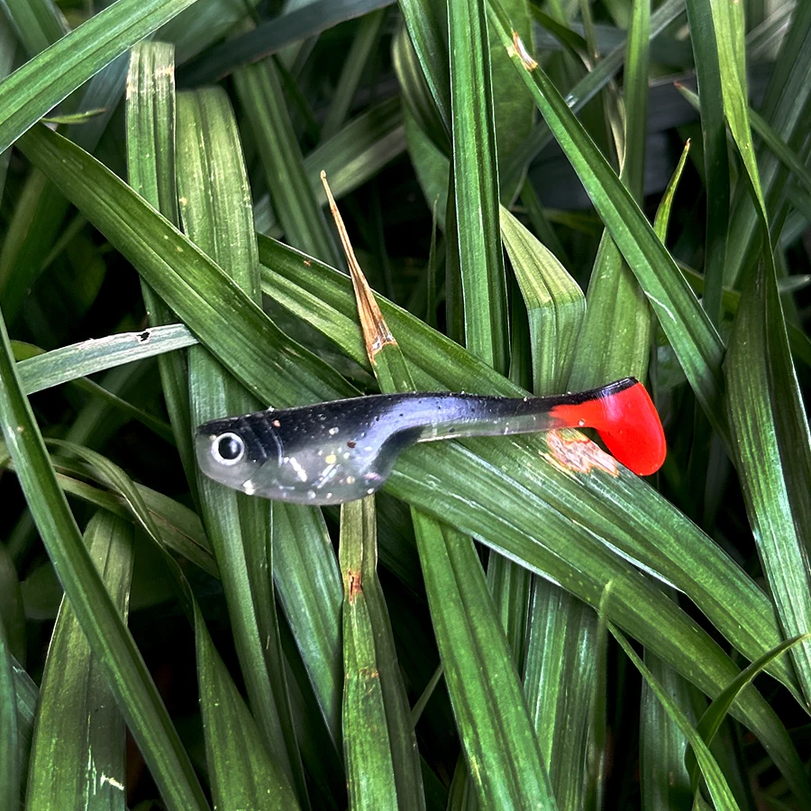 30 unids/caja Drop Shot Easy Shiner Señuelos de Pesca Set Swimbait Wobblers para PikeTail Jig Head Kit de cebo Artificial gusanos blandos carpa