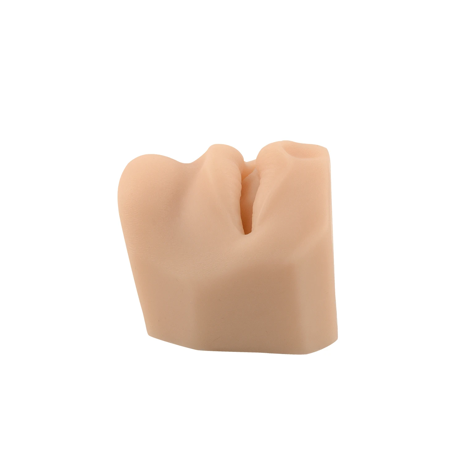 Simulated mouth model, puncture and suture practice mouth model, Lip Pin pin PIN display model