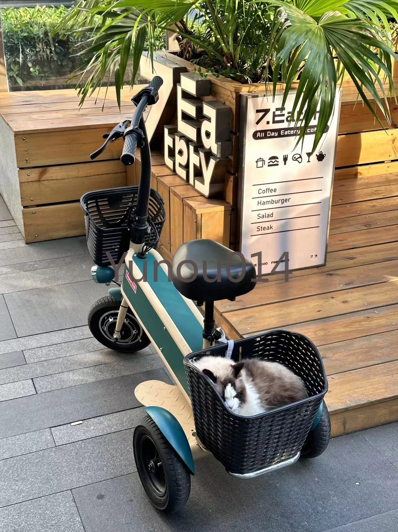 Electric Tricycle, Small Electric Vehicle, Foldable Mini Scooter, Household Battery Car, Adult