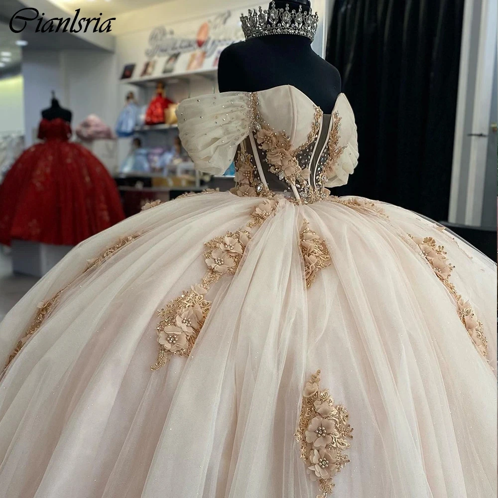 

Champagne Off The Shoulder Beading Ball Gown Quinceanera Dresses Illusion 3D Flowers Appliques Lace Corset Vestidos De 15 Años