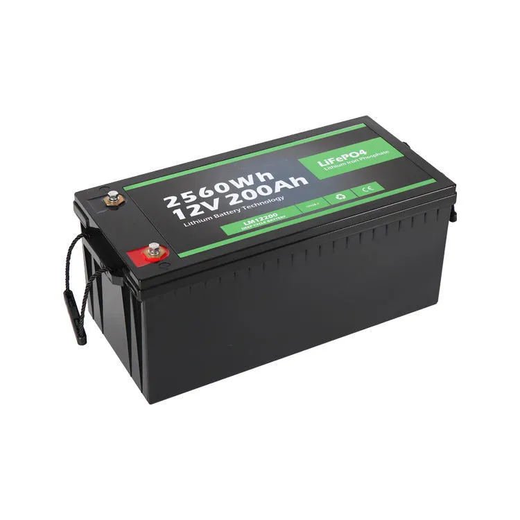 

Custom 12v 100ah lithium iron phosphate batteries charger 12v 24v 48v 200ah 300ah lifepo4 battery cells pack