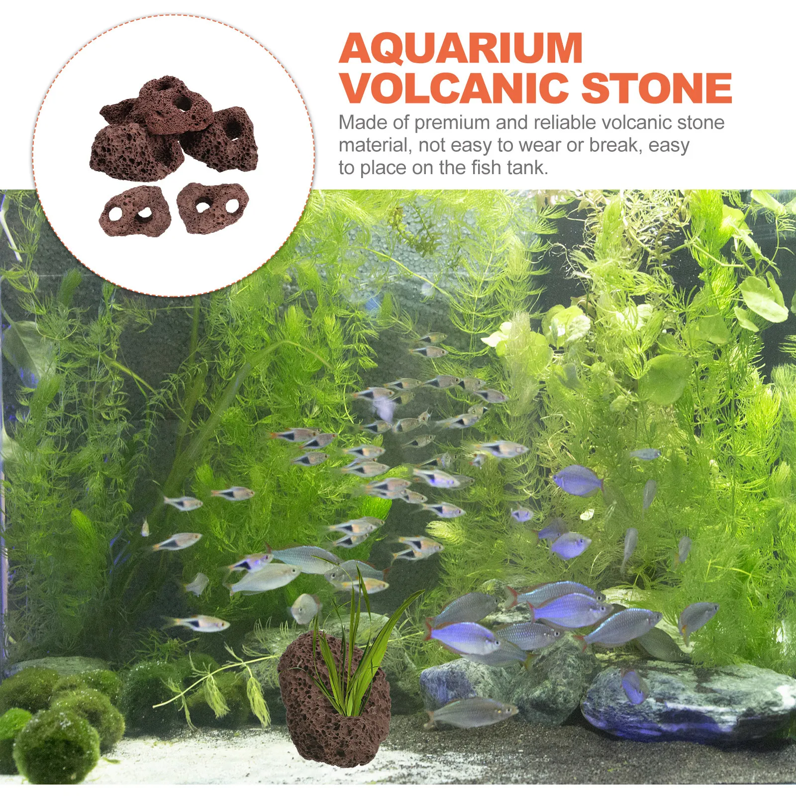 

Набор из 6 камней для аквариума из вулканического камня: декоративные элементы, основания для растений, крепления для водных растений, камни для аквариумного содержания рыб