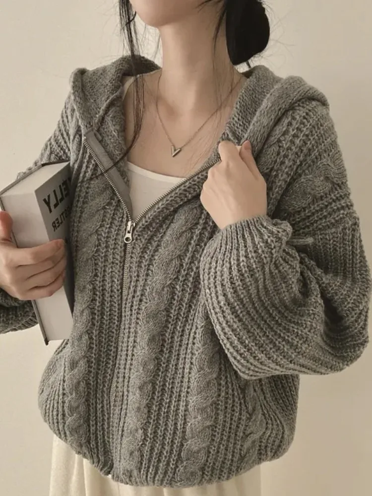 

Ретро-кардиган женский вязаный на молнии с капюшоном, утепленный, с длинными рукавами, осенне-зимний, модный, шикарный, в стиле оверсайз