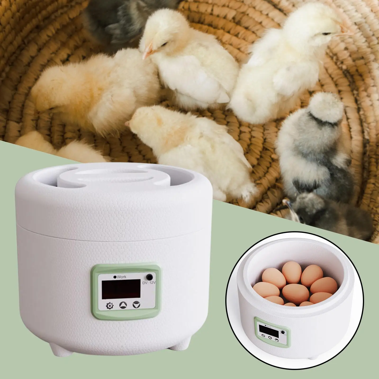 Portable Poultry Hatcher Power Small Digital Automatic Egg Incubator for Hatching Parakeet Ducks Chicken Eggs