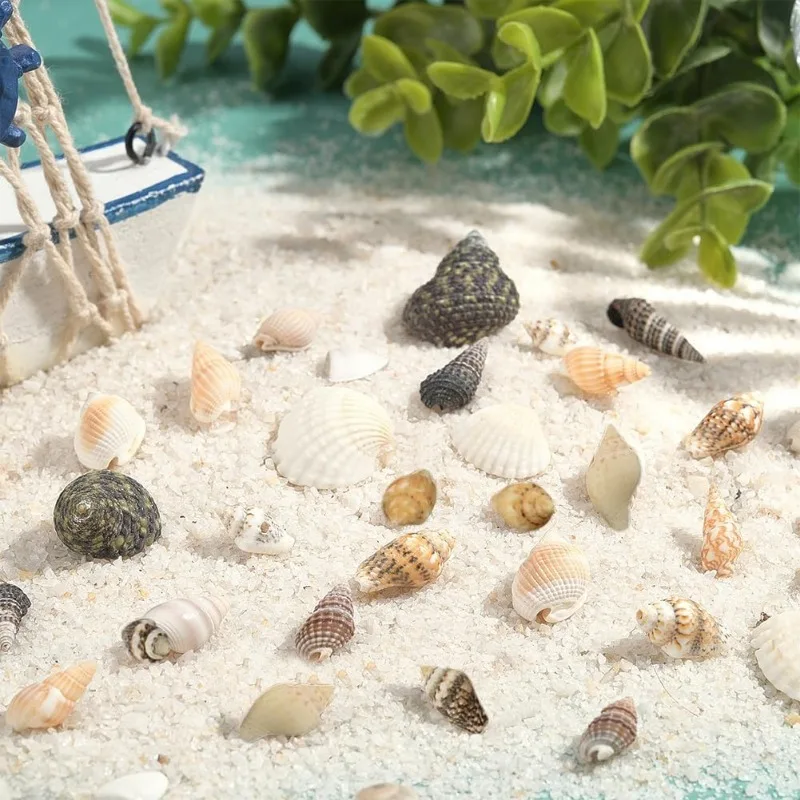 Sea Shells 466pcs 15 Style Spiral Shell Beads Undrilled Tiny Sea Shell Ocean Spiral Seashells Miniature Shells