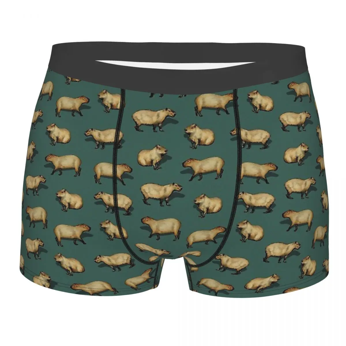 Capybara Hydrochoerus Hydrochaeris Animal Cute Giant Rodents On Dark Teal Underpants Panties Man Underwear  Shorts Boxer Briefs