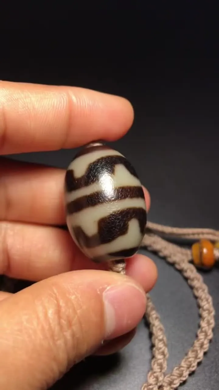 Rare Tibetan Old Agate Dzi Tiger Teeth Daluo Bead Amulet Necklace J0410