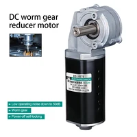 Motor reductor de engranaje helicoidal de 12V CC, Motor de transmisión de velocidad lenta de alto par hacia adelante y hacia atrás, Motor autoblocante de fallo de energía