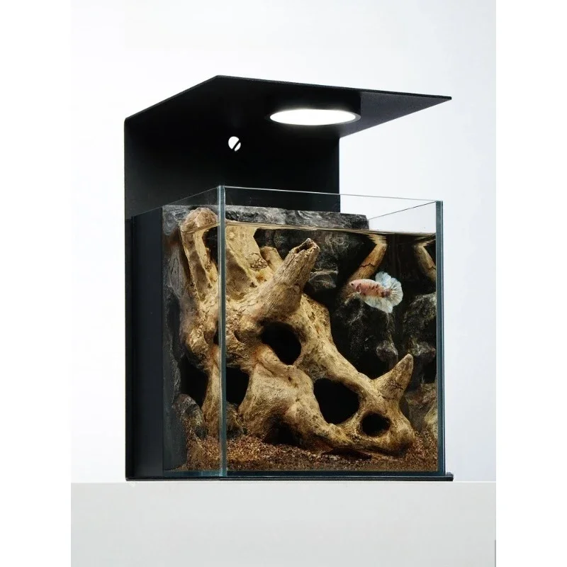 Desktop Douyu special back filter integrated micro landscape glass tank