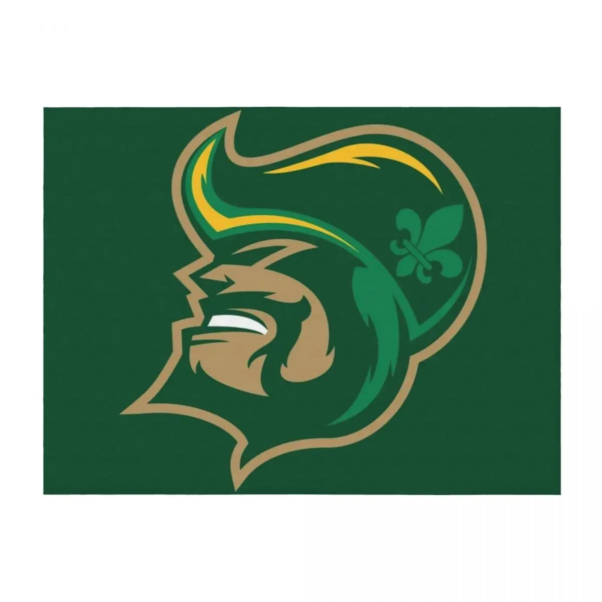 Sioux City Musketeers icon Пледы Одеяла для ребенка Спальный мешок для ребенка Роскошные дизайнерские одеяла