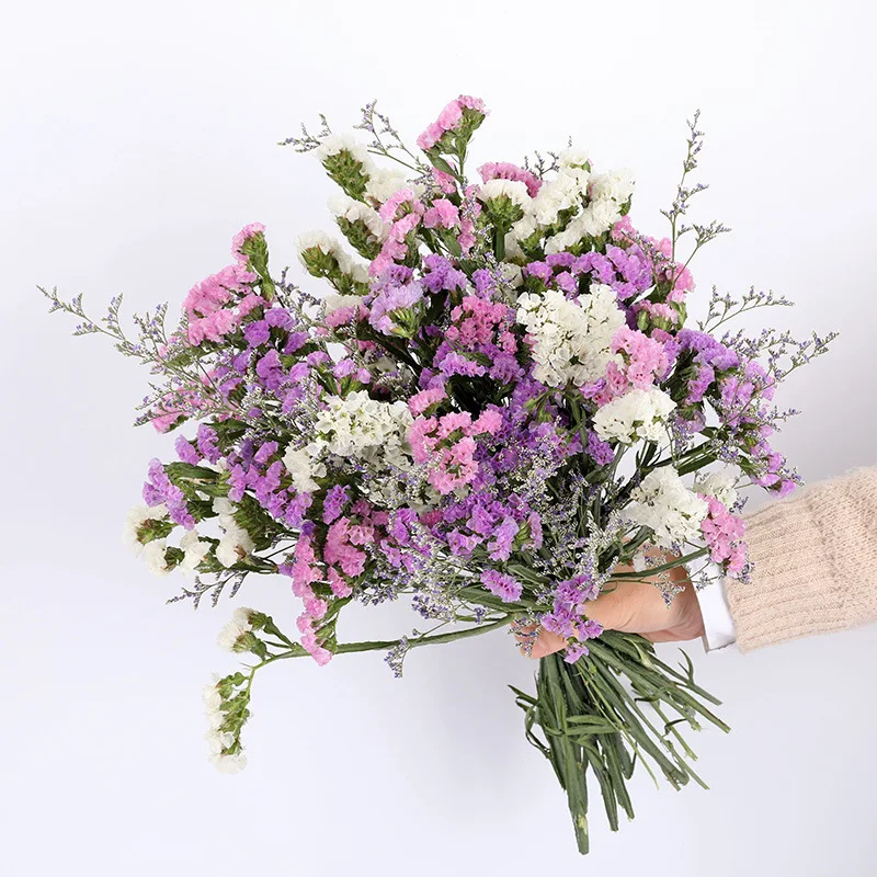 

60g Natural Dried Flowers Forget-me-not Bunch Colorful Real Bouquet For Diy Home Wedding Style Decoration Table Centerpieces