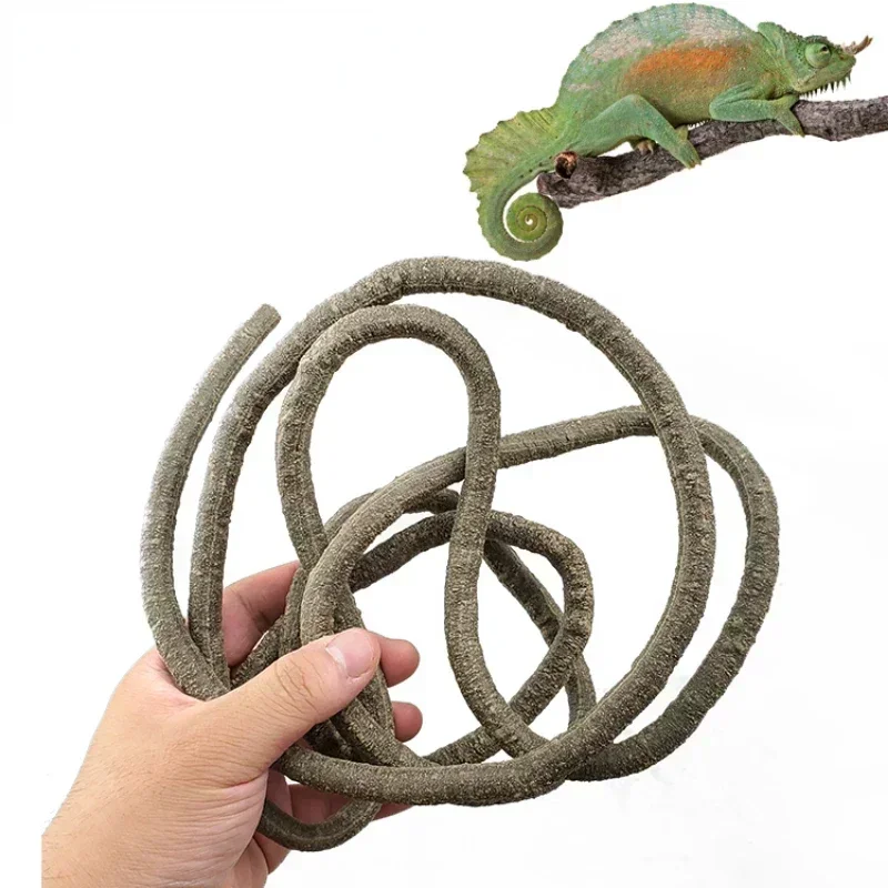 

Climb Branches Large Flexible Vines Rattan Habitat Decoration Bendable Jungle Pet Supplies Reptiles Terrarium Decor 1.5/2.5/3m