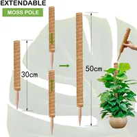Cross-border Gardening Cocoanut Stick Green Pot Fixed Plant Climbing Cane Flower Support Cocoanut Climbing Cane Moss Rod 1pc 3