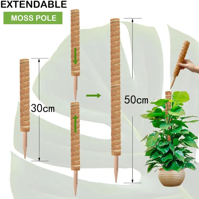 Cross-border Gardening Cocoanut Stick Green Pot Fixed Plant Climbing Cane Flower Support Cocoanut Climbing Cane Moss Rod 1pc 3 Cross-border Gardening Cocoanut Stick Green Pot Fixed Plant Climbing Cane Flower Support Cocoanut Climbing Cane Moss Rod 1pc 3