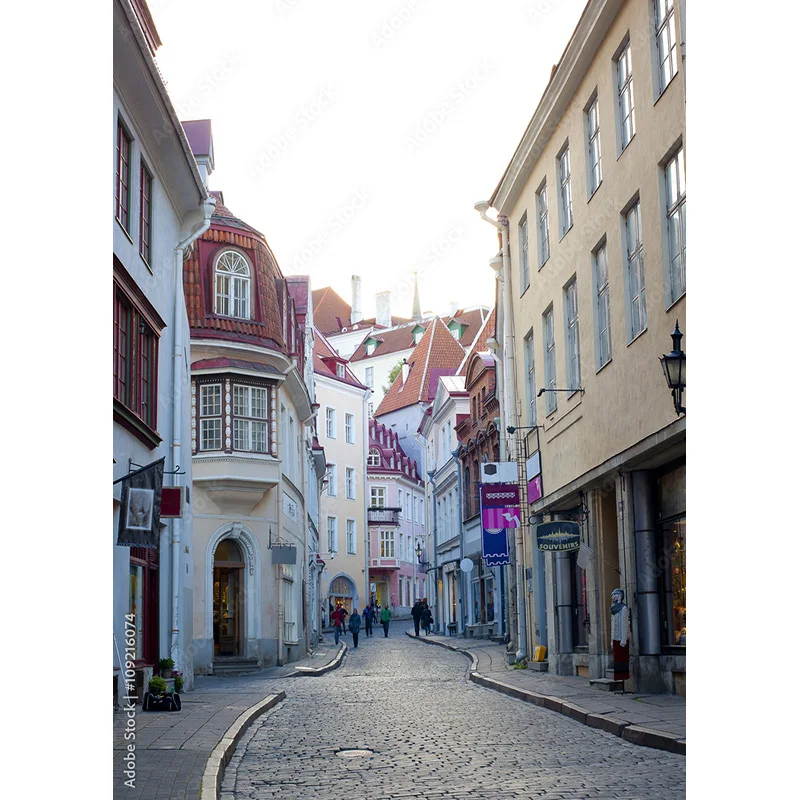 NITREE خمر الأوروبي عرض الشارع مشهد خلفيات للتصوير الفوتوغرافي الدعائم الزفاف صور الخلفيات استوديو JJD-06