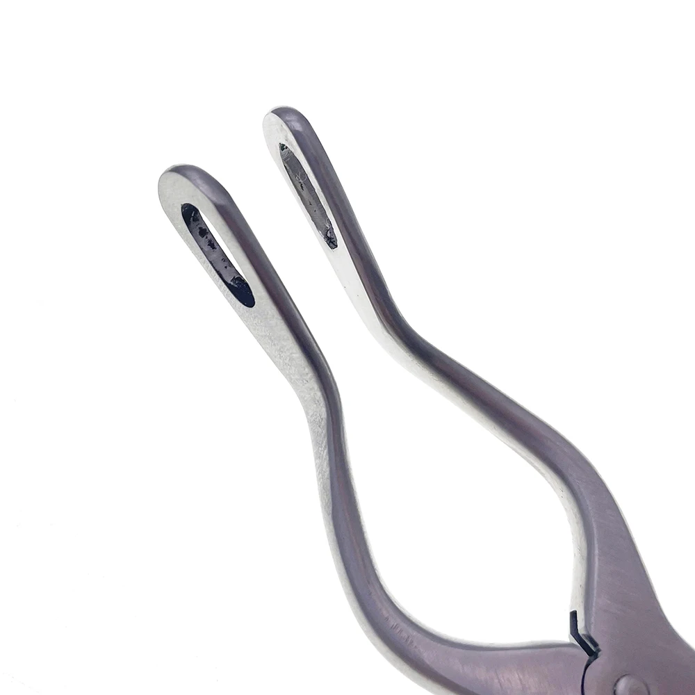 Mundöffner für Nagetiere, Retraktor, Dental-Spreizer, Zahnärztliches Instrument, für orale Untersuchungen, Bukkal-Wangen-Dilatator, Draht, Kavitäten-Spekulum, Beutel-Spekulum – Detail 6