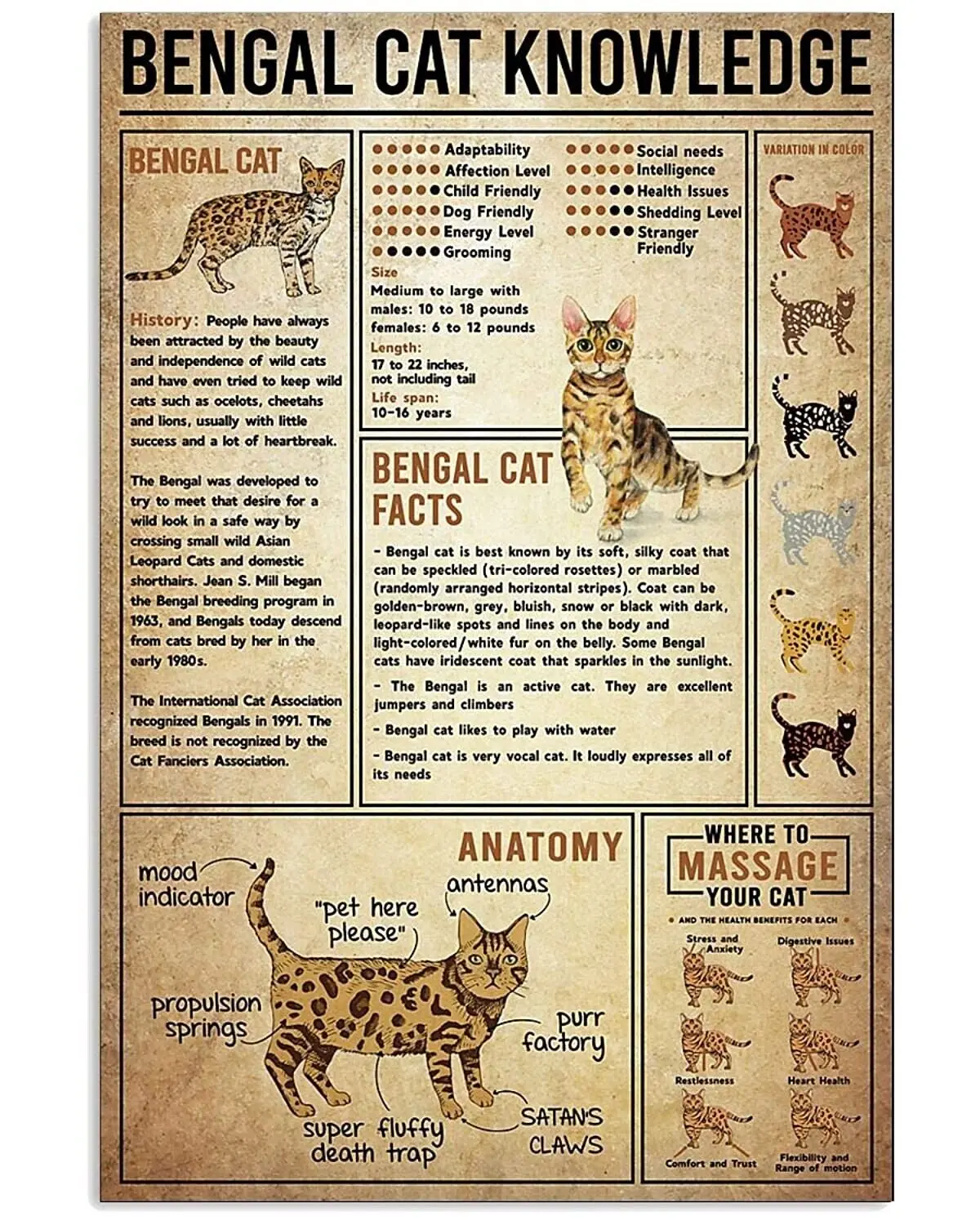 

Cat Knowledge Facts Art Picture Print Silk Poster, Home Wall Decor