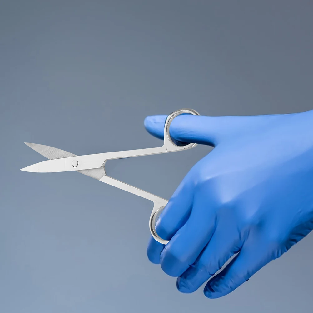 

2 Pcs Dissecting Scissors Anatomy Experiment Animal Surgery Emergency Small Nickel Plating