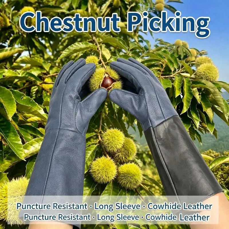 Cowhide Gardening Gloves Puncture Resistant Thorn Proof Ideal For Chestnut Picking Fruit Harvest