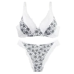 DaiNaFang New Thin Mode Cup Push Up Bras Set BCDE White burgundy Beige Black Green Blue Push Up Underwear For Women