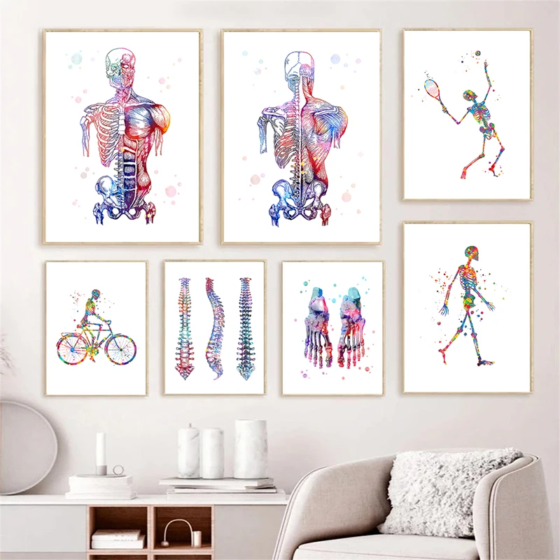 Human Anatomy Poster Skeleton Bones Decorative Paintings Canvas Wall Art Medical Office Clinic Photos Physiotherapy Room Decor