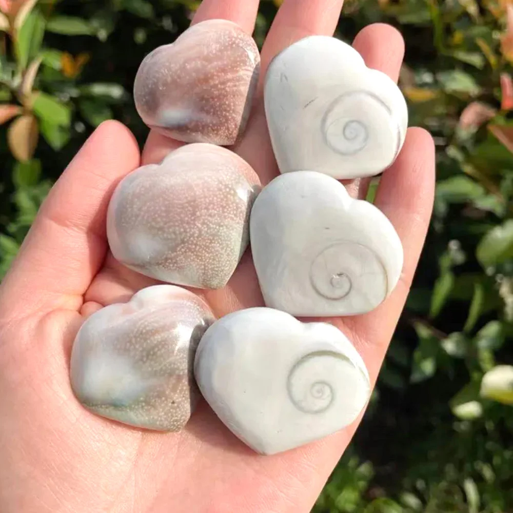 Natural Conch Shells Shiva Eye Sun Shell Love Heart Specimen Mineral Pendants For Meditation Chakra Jewelry Making DIY Gift