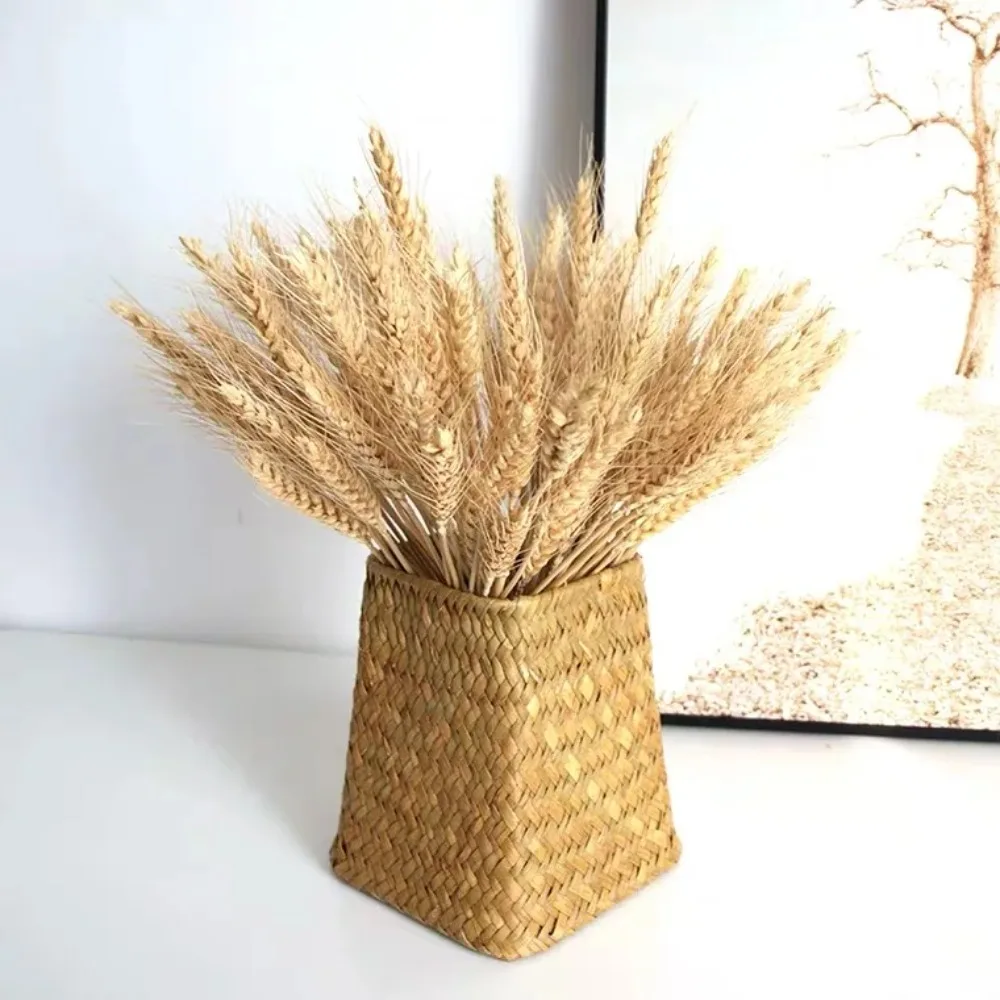 50 Pezzi di Steli di Grano Naturali Essiccati, Eleganza Rustica, Spighe di Grano Secche per Decorazioni Fai-da-Te, Fiori Secchi per Casa e Cucina