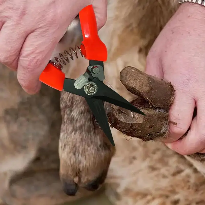 

Goat Hoof Trimmers Ergonomic Sheep Hoof Shears Spring-Loaded Horse Clippers Precision Trimming Shears Stainless Steel Nail