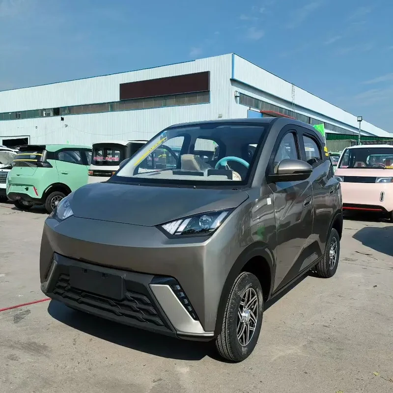 300km Range New Energy Vehicles 145 Aluminum Wheels 5-Door Car Range Lithium Elder Rural Town Mobility