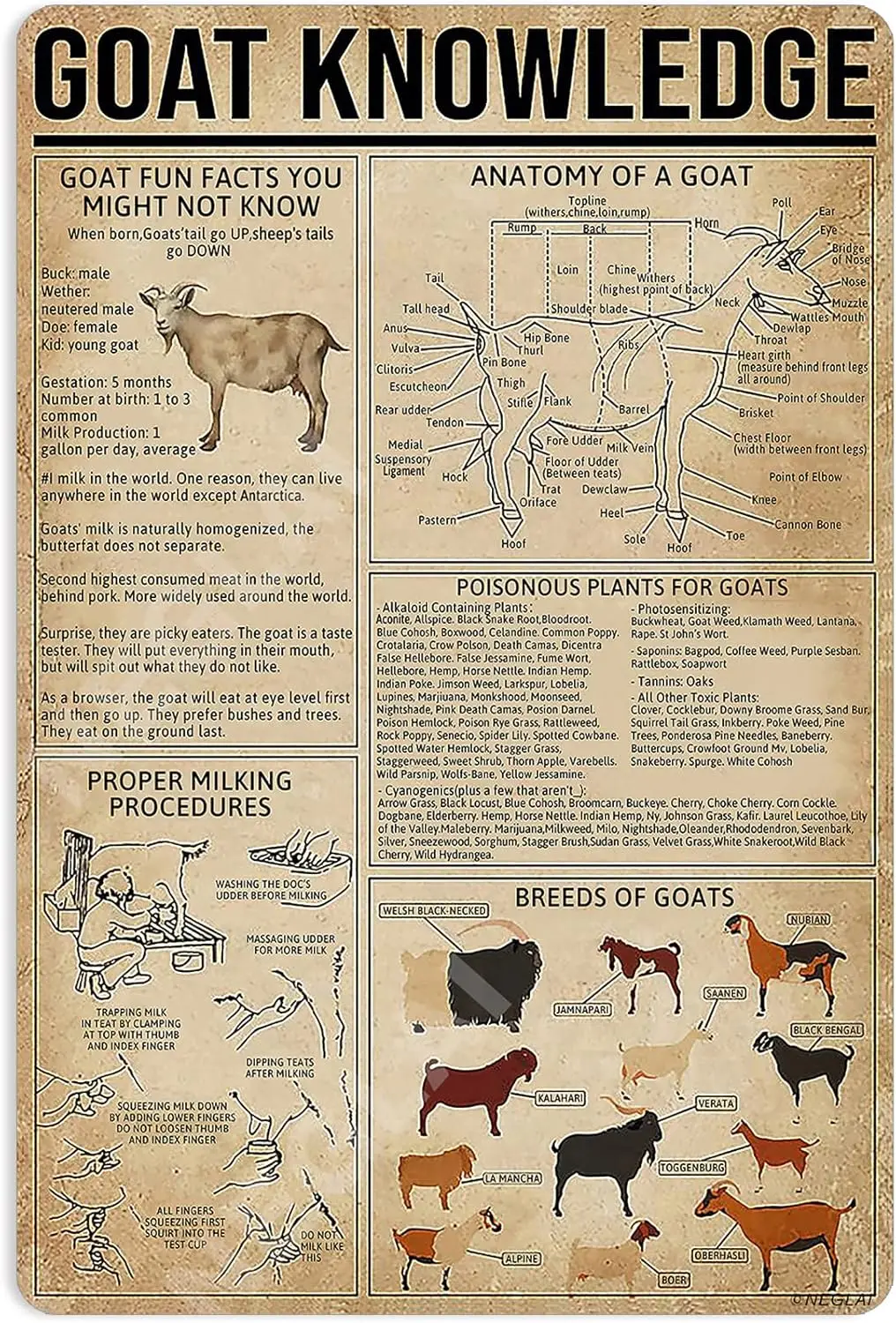 Plaque en métal « Goat Knowledge » avec infographique sur les chèvres, idéale pour la décoration murale de la ferme, de la maison, de la cuisine, de l'école ou du club, 16x12 pouces