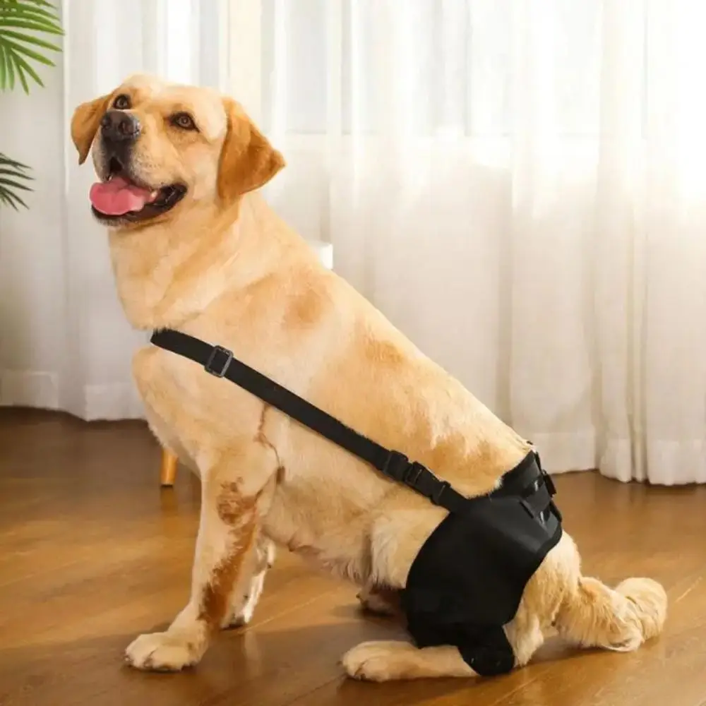 Dog Leg Support Brace Knee Hip Joint Protect Wounds Prevent Injuries Canine Aid And Ligament Rehabilitation For Pets Accessories