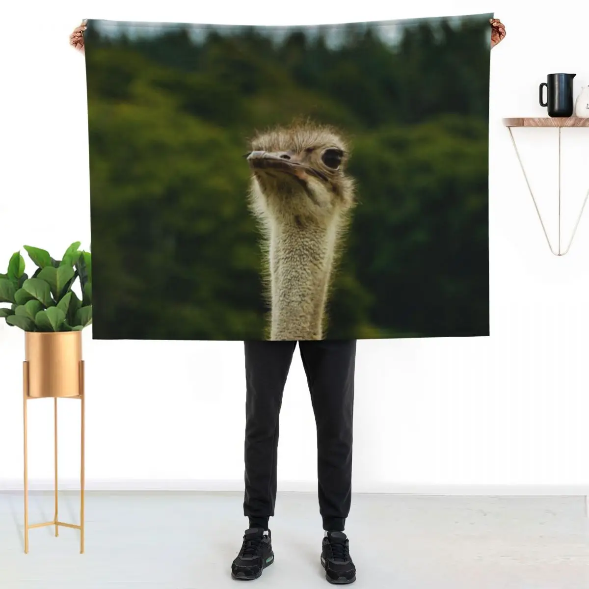 Ostrich Stood Tall Photograph - Ostrich Photography Throw Blanket Decorative Sofas Fashion Sofas For Baby blankets ands Blankets