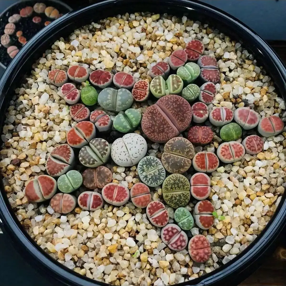 1pc-250g Natural Crystals Gravel Stone Micro Landscape Garden Aquarium Decor Fish Tank Bottom Sand Potted Plants DIY Accessories