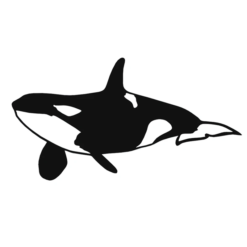 CS12228# 19x10 cm Наклейка ORCA KILLER WHALE Car sticker Waterproof Vinyl Decal for Auto Styling on Bumper Rear Window