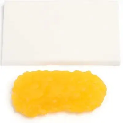 Human Body Fat Pound Plastic Fat Demonstration Device for Fitness Trainer Nutritionist Diet Motivator