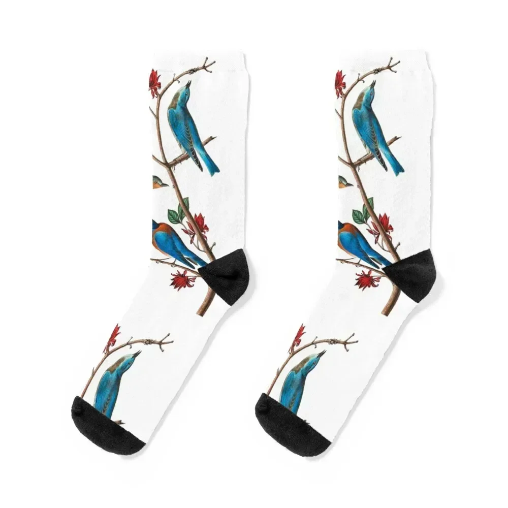 John James Audubon Townsends warbler Socks new year basketball Women's Socks Men's