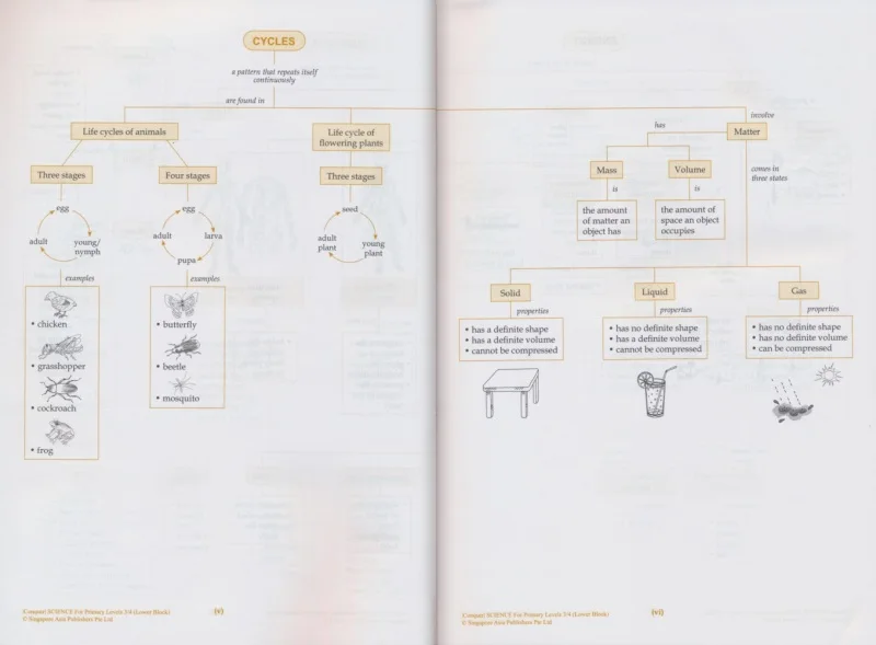 SAP Conquer Science for Primary Levels 1-6 Science Subject Workbook, Enhanced Edition, Singapore Science Teaching Assistant