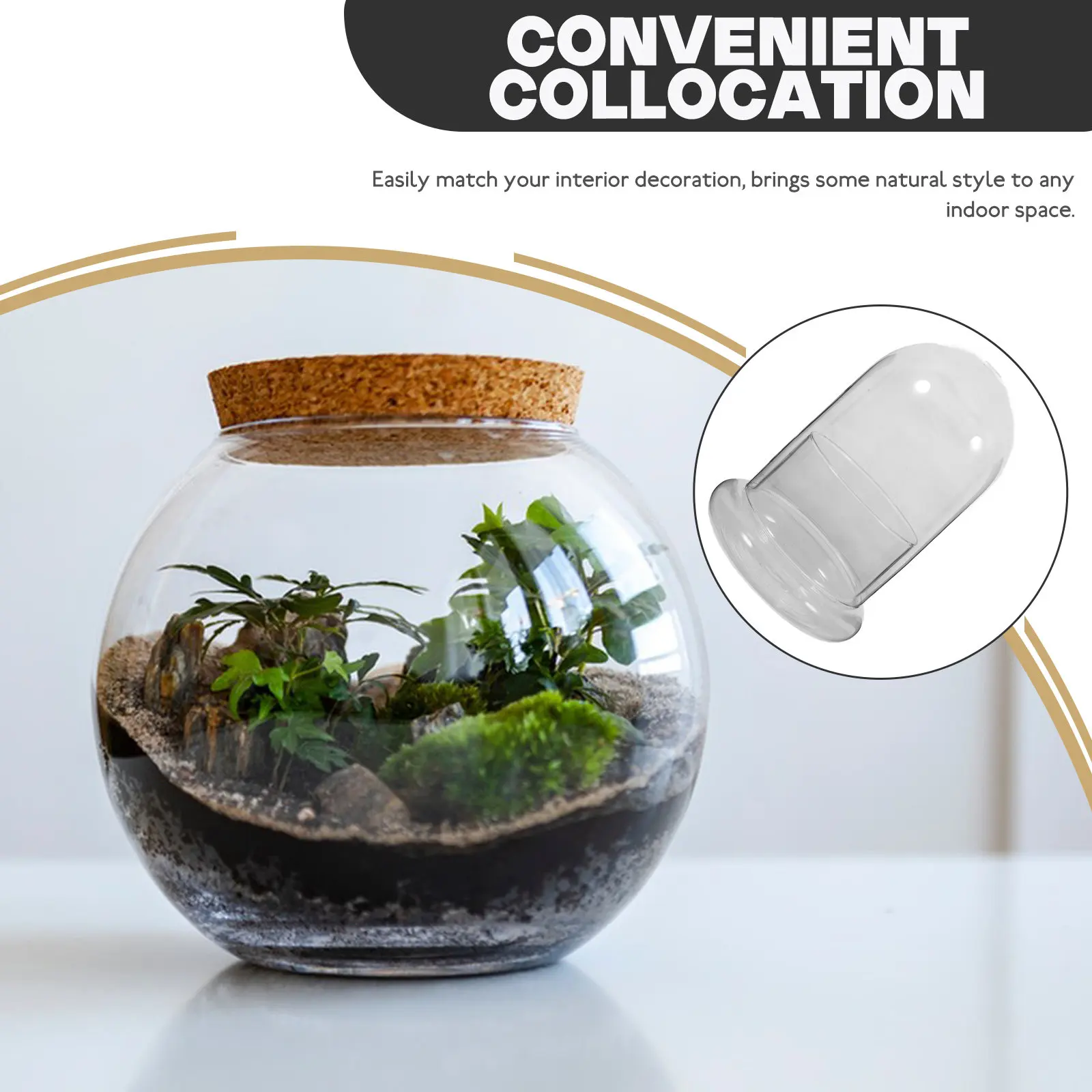 Glass Micro Landscape Terrarium Bottle – Transparent Ecological Decorative Plant Display for Table Art