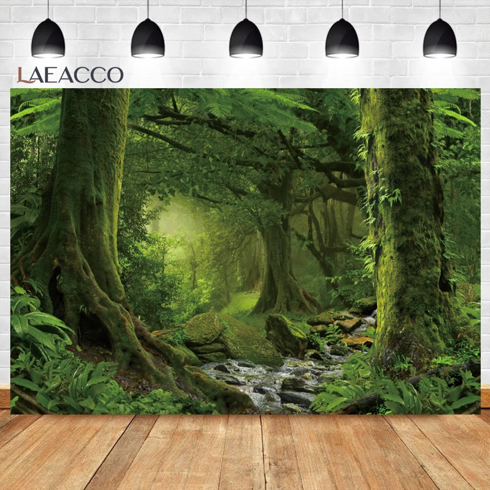 خلفية تصوير الغابات الاستوائية ، الربيع ، الغابة ، المطر ، الأوراق الخضراء ، المناظر الطبيعية الخلابة ، ديكور الغرفة ، الخلفيات ، استوديو الصور