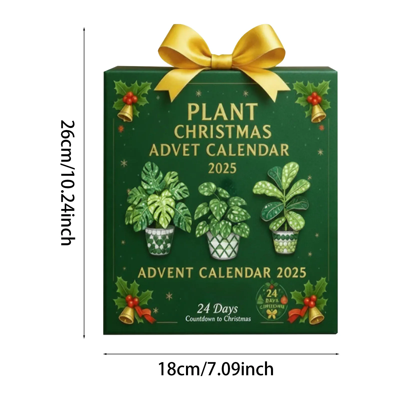 Lumières d'intérieur à piles avec minuterie Calendrier de l'Avent de Noël Anatomie Pendentif de compte à rebours de Noël Grands minuteries pour les enseignants